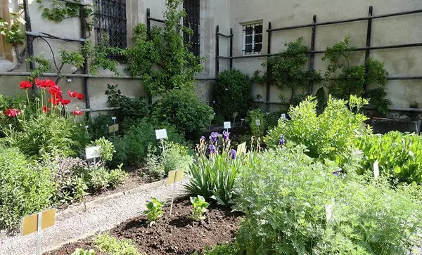 Der Kräutergarten im Kloster Bebenhausen